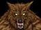 lonewolf2877